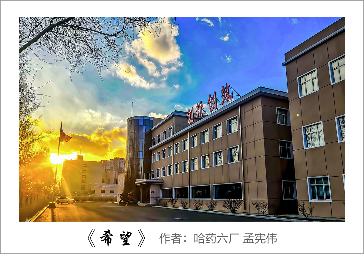 【迎國慶 展風(fēng)采】我眼中的哈藥&mdash;&mdash;職工攝影大賽作品展示！